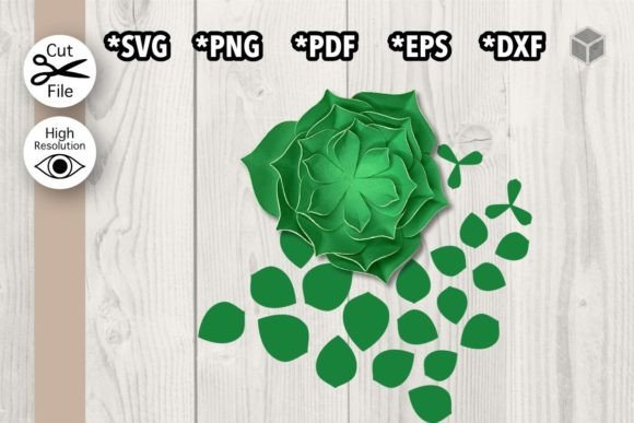 Download Blooming Succulent Template - Template Collection